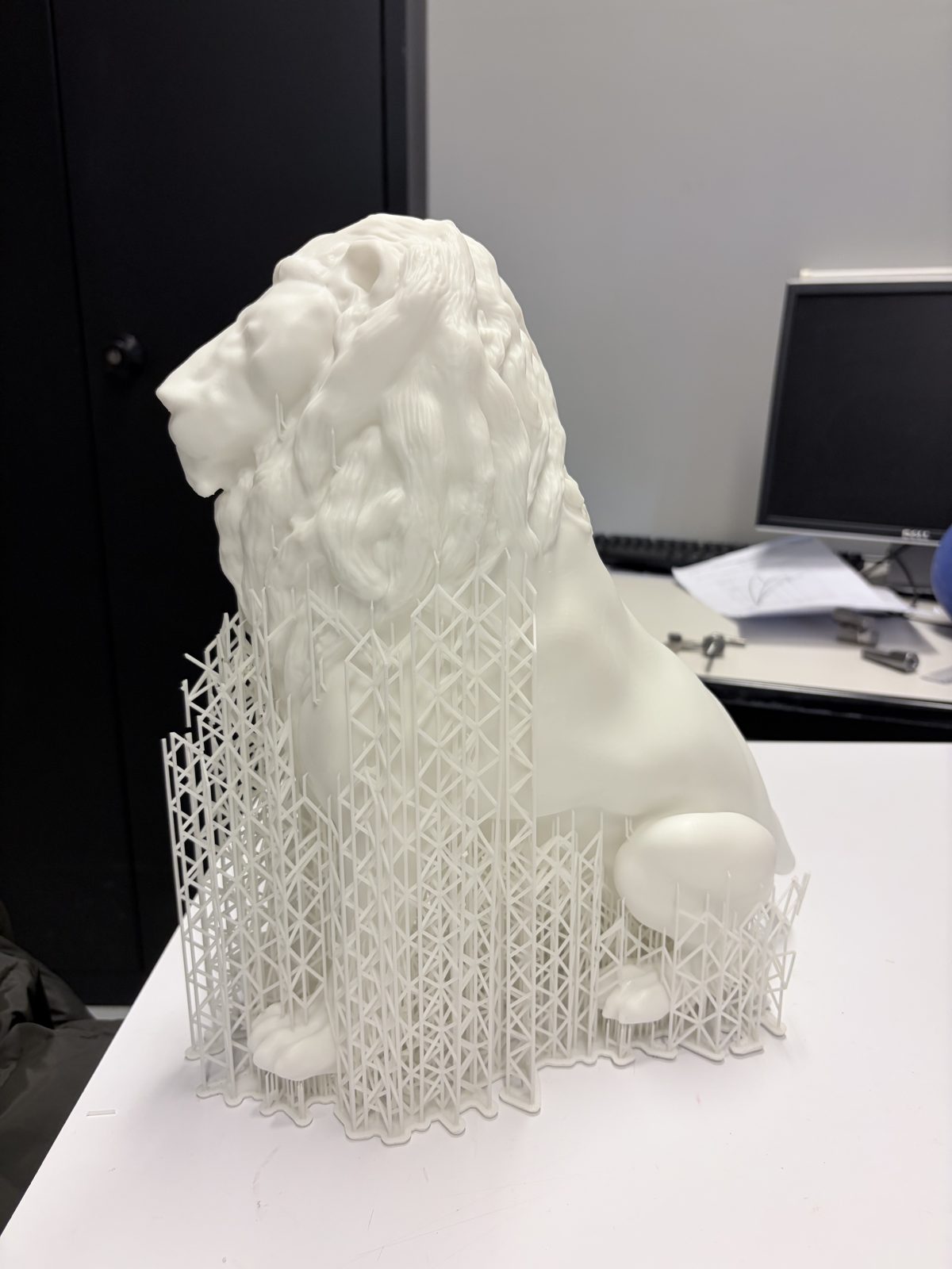 Prototype imprimé de 40 cm